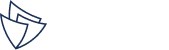 VNEXT HOLDINGS