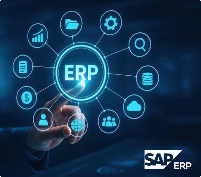 SAP platform