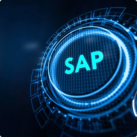 Japanese plastics manufacturer - SAP automation for Vietnamese subsidiary
