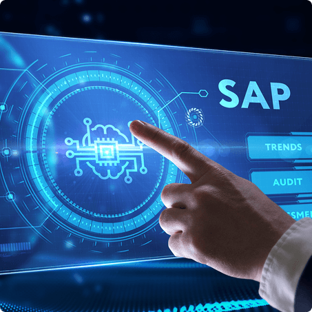 SAP offshore development_Japan partner program