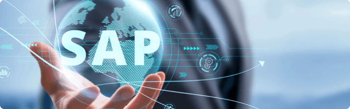 SAP modules we master