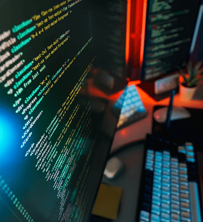 Custom software development services