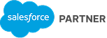 VNEXT_salesforce partner